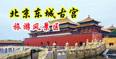 爆操淫女视频网页中国北京-东城古宫旅游风景区